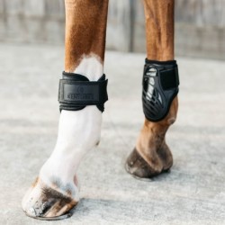 Young horse fetlock boots Kentucky Horsewear